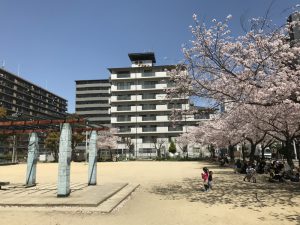 信栄千船ビル隣　公園の桜満開です。のイメージ画像